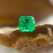 Natural Colombia Vivid Green Emerald (Beryl) Cut-Cornered Rectangular Step cut 0.45ct 5.0 by 4.6 by 2.8m - Huangs Jadeite and Jewelry Pte Ltd