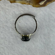 Natural Labradorite Pixiu in S925 Sliver Ring (Adjustable Size) 2.05g 9.7 by 8.3 by 5.4mm - Huangs Jadeite and Jewelry Pte Ltd