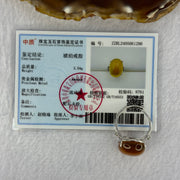 Natural Yellow Amber in S925 Sliver Ring (Adjustable Size) 3.54g 20.1 by 14.5 by 7.0mm - Huangs Jadeite and Jewelry Pte Ltd