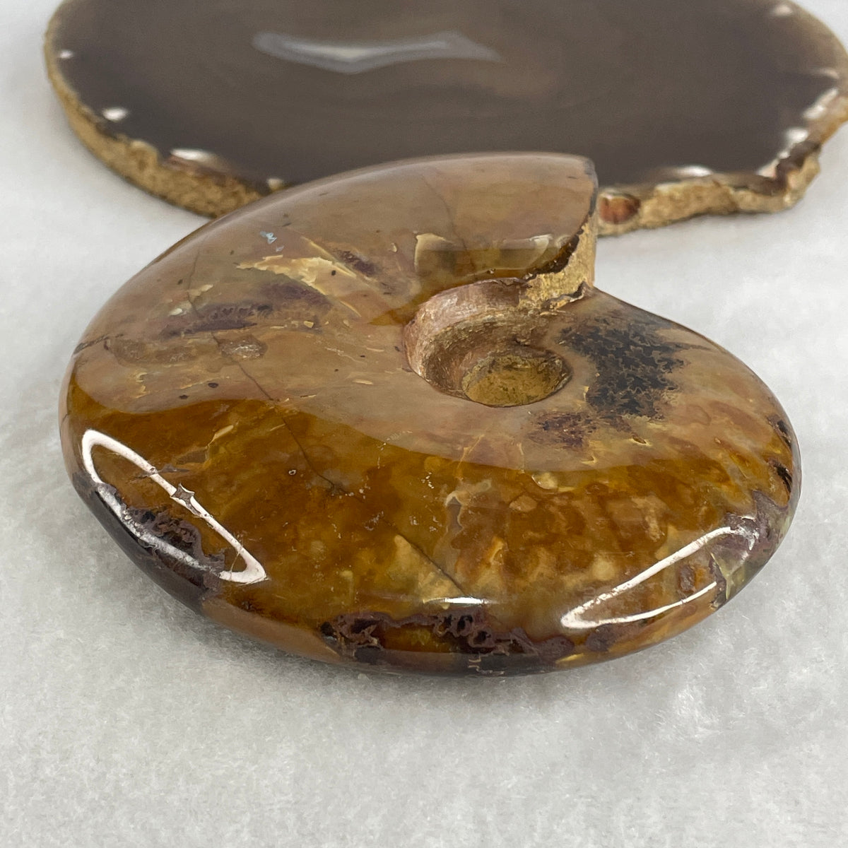 Natural Ammonite Ammonoid Fossil Display Specimen | 117.5mm Ancient Suture Spiral Matrix (437.2g | 117.5x97.0x27.0mm)