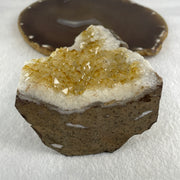 Natural Citrine Rough Irregular Shaped Display with Wooden Stand 719.31g 125.5 by 97.0 by 152.5mm - Huangs Jadeite and Jewelry Pte Ltd