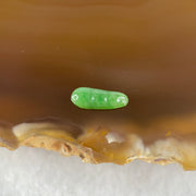 Type A Old Mine Full Green Jadeite Peapod Charm Stone For Setting 0.15g 10.3 by 4.0 by 2.0mm - Huangs Jadeite and Jewelry Pte Ltd