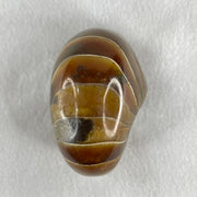 Natural Ammonite Ammonoid Fossil with Wooden Stand 331.4g 92.0 by 70.2 y 103.5mm - Huangs Jadeite and Jewelry Pte Ltd