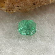 Natural Colombia Vivid Green Emerald (Beryl) Cut-Cornered Square Step cut 0.41ct 4.5 by 4.3 by 3.2mm - Huangs Jadeite and Jewelry Pte Ltd