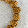 Natural Bodhi Rudraksha Seed Mala 金风 Beads Bracelet 14.53g 11.8 mm 21 Beads - Huangs Jadeite and Jewelry Pte Ltd