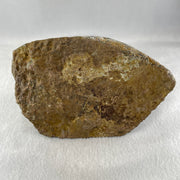 Natural Amethyst Rough Irregular Shaped Display 956.1g 160.0 by 92.2 by 76.0mm - Huangs Jadeite and Jewelry Pte Ltd