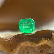 Natural Colombia Vivid Green Emerald (Beryl) Cut-Cornered Square Step cut 0.49ct 4.4 by 4.4 by 3.6mm - Huangs Jadeite and Jewelry Pte Ltd