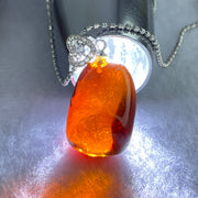 Natural Blood Red Amber Pendant in S925 Sliver Necklace 6.22g 21.6 by 15.6 by 14.9mm - Huangs Jadeite and Jewelry Pte Ltd