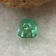 Natural Colombia Vivid Green Emerald (Beryl) Cut-Cornered Square Step cut 0.47ct 4.4 by 4.2 by 3.5mm - Huangs Jadeite and Jewelry Pte Ltd