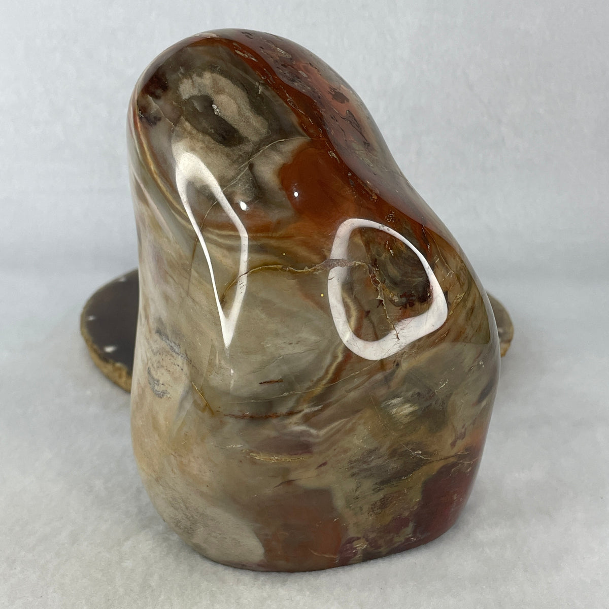 Natural Petrified Wood Triangular Sculpture Display with Wooden Stand |  Fossilized Earth & Sacred Geometry Apex (1,821.3g | 137.0x123.0x150.0mm | Anchor, Primordial Stability, Manifestation Pyramid & Financial Security)