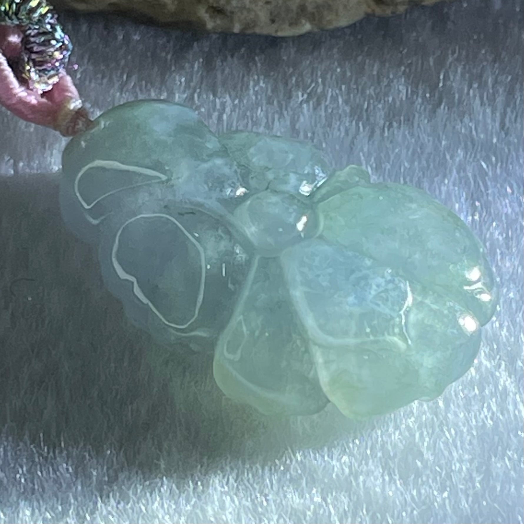 Type A Semi Icy Blueish Green with Lavender Lotus Flower Jadeite Flower Pendant 5.44g 27.3 by 17.5 by 7.9mm - Huangs Jadeite and Jewelry Pte Ltd