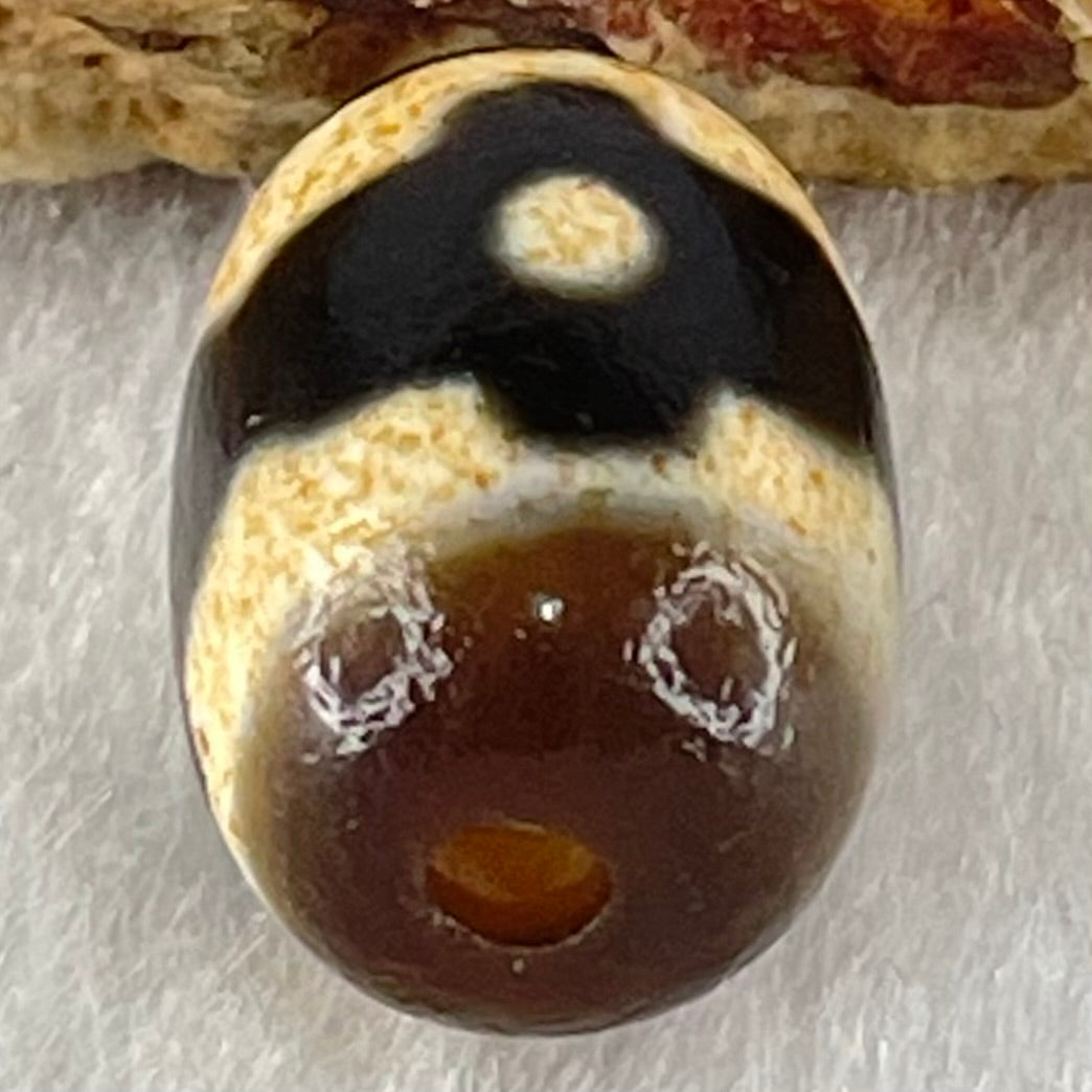 Natural Powerful Tibetan Old Oily Dark Brown With White Agate 3 Eyes Dzi Bead Heavenly Master (Tian Zhu) 三眼天诛 3.32g 16.0 by 11.7mm - Huangs Jadeite and Jewelry Pte Ltd