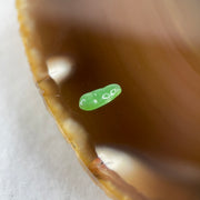 Type A Old Mine Full Green Jadeite Peapod Charm Stone For Setting 0.04g 8.8 by 3.4 by 1.9mm - Huangs Jadeite and Jewelry Pte Ltd