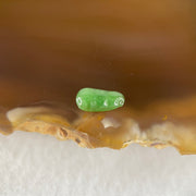 Type A Old Mine Full Green Jadeite Peapod Charm Stone For Setting 0.12g 8.5 by 4.4 by 1.4mm - Huangs Jadeite and Jewelry Pte Ltd