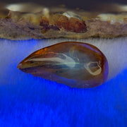 Natural Amber for Setting 1.66g 24.3 by 14.3 by 9.6mm - Huangs Jadeite and Jewelry Pte Ltd