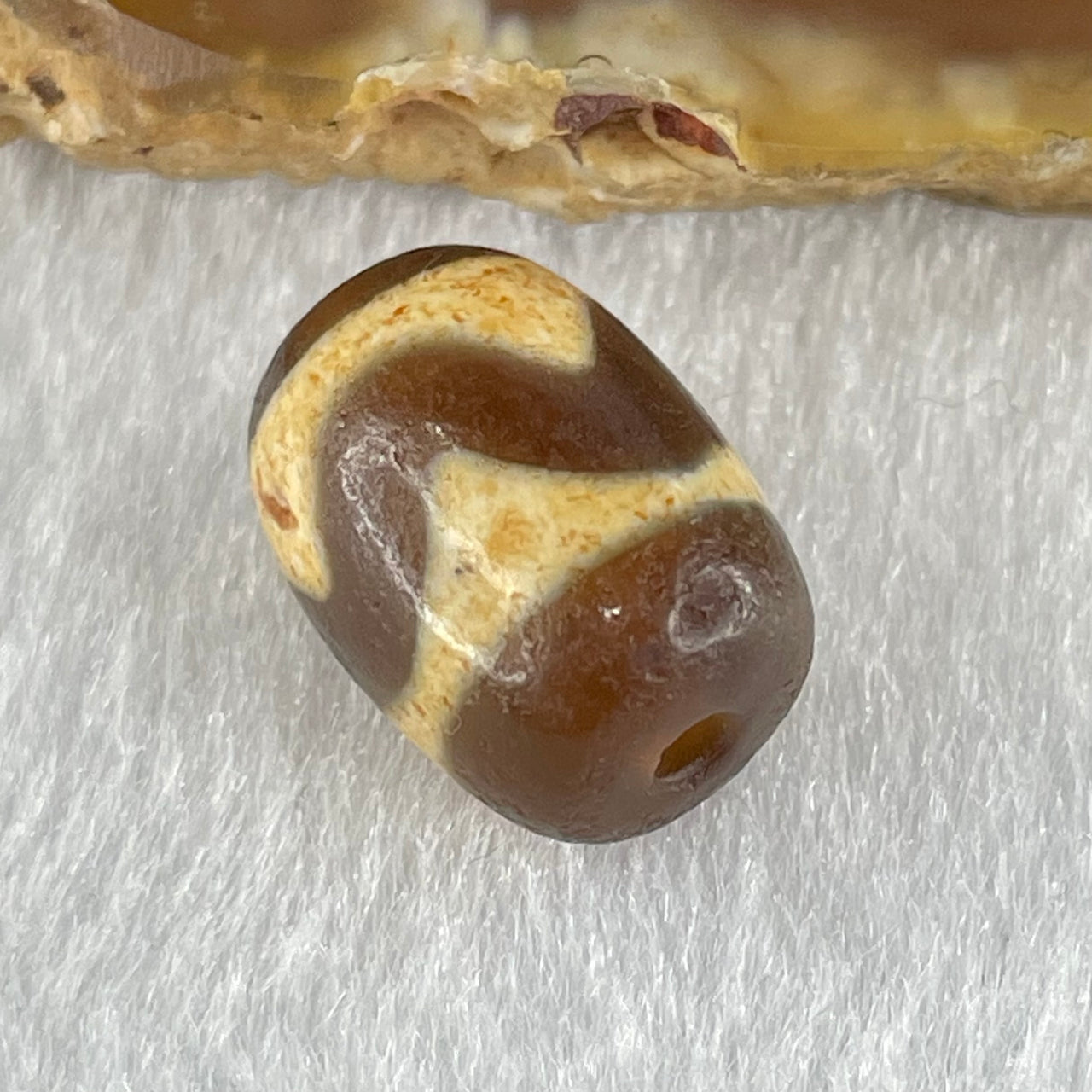 Natural Powerful Tibetan Old Oily Dark Brown Yellow Agate Tiger Tooth Daluo Dzi Bead Heavenly Master (Tian Zhu) 2.50g 14.4 by 10.6mm - Huangs Jadeite and Jewelry Pte Ltd