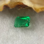 Natural Colombia Green Emerald (Beryl) Cut-Cornered Rectangular step cut 0.74cts 6.4 by 4.8 by 3.4mm - Huangs Jadeite and Jewelry Pte Ltd
