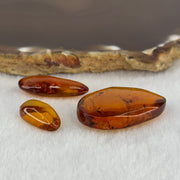 Natural Amber for Setting (Set of 3) 3.44g 30.8 by 21.3 by 8.6mm 1.08g 25.4 by 11.4 by 6.7mm 0.56g 17.2 by 9.2 by 5.9mm - Huangs Jadeite and Jewelry Pte Ltd