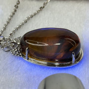 Natural Amber with Cubic Zirconia in S925 Sliver Necklace 15.05g 30.8 by 19.4 by 15.1mm - Huangs Jadeite and Jewelry Pte Ltd