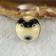 Natural Powerful Tibetan Old Oily Yellowish White with Black Agate Tiger Tooth Daluo Dzi Bead Heavenly Master (Tian Zhu) 虎呀天诛 3.56g 13.7mm - Huangs Jadeite and Jewelry Pte Ltd