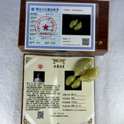 Grand Master Type A Yellow Jadeite Dragon Turtle Pair 54.05g 49.6 by 27.2 by 13.6mm - Huangs Jadeite and Jewelry Pte Ltd