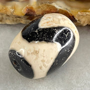 Natural Powerful Tibetan Old Oily Agate Tiger Tooth Daluo Dzi Bead Heavenly Master (Tian Zhu) 虎呀天诛 4.62g 17.9 by 13.3mm - Huangs Jadeite and Jewelry Pte Ltd