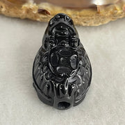 Type A Opaque Black Omphacite Jadeite Dragon Turtle with Coin Pendant Charm 12.45g 29.7 by 18.0 by 15.2mm - Huangs Jadeite and Jewelry Pte Ltd