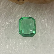 Natural Colombia Vivid Green Emerald (Beryl) Cut-Cornered Rectangular Step cut 0.09ct 3.1 by 2.6 by 1.7mm - Huangs Jadeite and Jewelry Pte Ltd