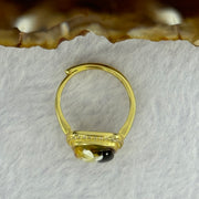 Natural Green Amber with Milk and Yellow Inclusions in S925 Sliver Gold Color Ring (Adjustable Size) 2.74g 9.0 by 3.0mm - Huangs Jadeite and Jewelry Pte Ltd