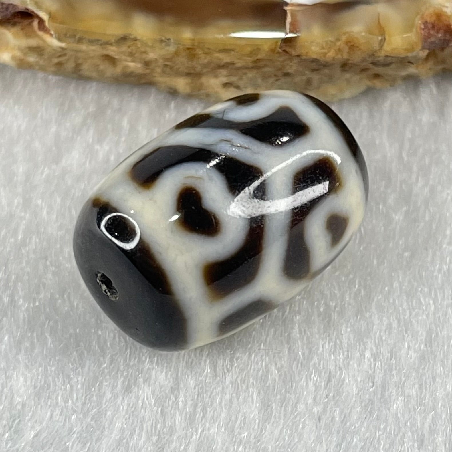 Natural Powerful Tibetan Old Oily Agate 6 Hearts Tortoise Shell Dzi Bead Heavenly Master (Tian Zhu) 六心龟壳天珠 4.95g 18.1 by 12.9mm - Huangs Jadeite and Jewelry Pte Ltd