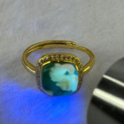 Natural Green Amber with Milk Inclusions in S925 Sliver Gold Color Ring (Adjustable Size) 2.31g 9.5 by 3.0mm - Huangs Jadeite and Jewelry Pte Ltd