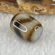 Natural Powerful Tibetan Old Oily Dark and Light Brown Agate Tiger Tooth Daluo Dzi Bead Heavenly Master (Tian Zhu) 2.84g 13.6 by 11.0mm - Huangs Jadeite and Jewelry Pte Ltd