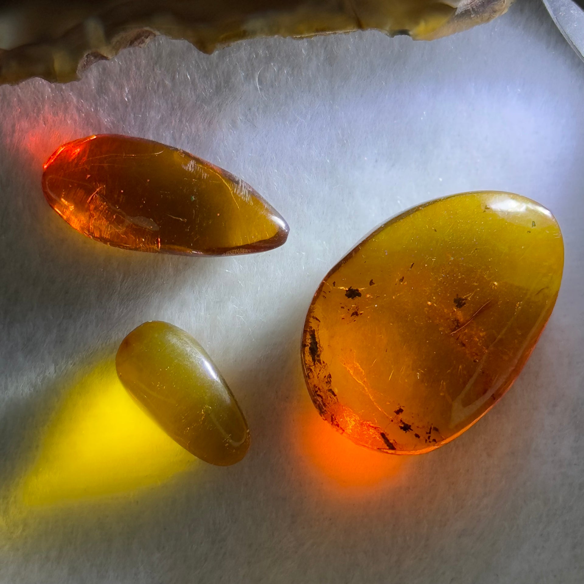 Natural Amber for Setting (Set of 3) 3.44g 30.8 by 21.3 by 8.6mm 1.08g 25.4 by 11.4 by 6.7mm 0.56g 17.2 by 9.2 by 5.9mm - Huangs Jadeite and Jewelry Pte Ltd