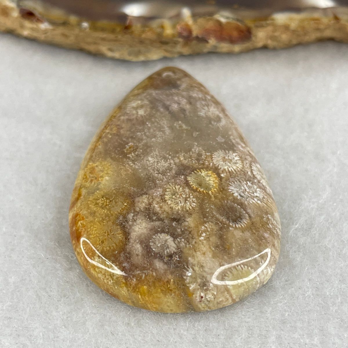 Natural Agatized Fossil Coral Teardrop Pendant | Ancient Botanical Star Pattern Fossil Gemstone (18.55g | 48.2 x 30.1 x 8.3mm)