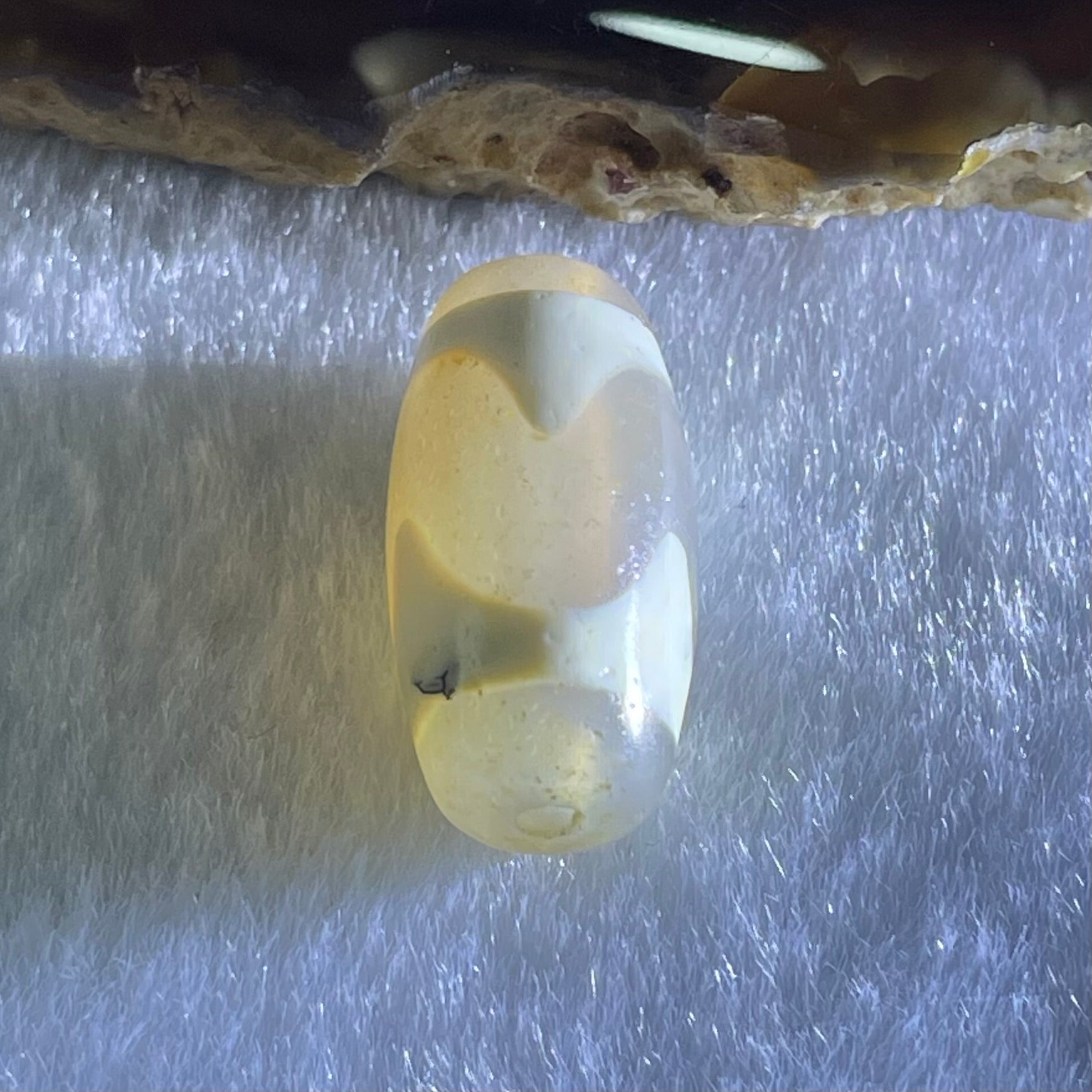 Natural Powerful Tibetan Old Oily Agate Tiger Tooth Daluo Dzi Bead Heavenly Master (Tian Zhu) 虎呀天诛 3.07g 20.0 by 10.2mm - Huangs Jadeite and Jewelry Pte Ltd