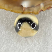 Natural Powerful Tibetan Old Oily Yellowish White with Black Agate Tiger Tooth Daluo Dzi Bead Heavenly Master (Tian Zhu) 虎呀天诛 3.56g 13.7mm - Huangs Jadeite and Jewelry Pte Ltd