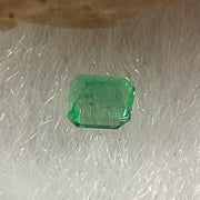 Natural Colombia Vivid Green Emerald (Beryl) Cut-Cornered Rectangular Step cut 0.08ct 2.7 by 2.0 by 1.8mm - Huangs Jadeite and Jewelry Pte Ltd
