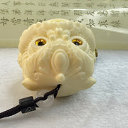 Ivory Fruit Seed Fu Gou Head Display 72.68g 43.1 by 47.0 by 41.7mm - Huangs Jadeite and Jewelry Pte Ltd