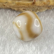 Natural Powerful Tibetan Old Oily Agate Tiger Tooth Daluo Dzi Bead Heavenly Master (Tian Zhu) 1.95g 9.7 by 11.0mm - Huangs Jadeite and Jewelry Pte Ltd