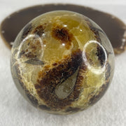 Natural Septarian Stone Ball with Clear Acrylic Display 603.31g 75.0 by 95.0mm - Huangs Jadeite and Jewelry Pte Ltd