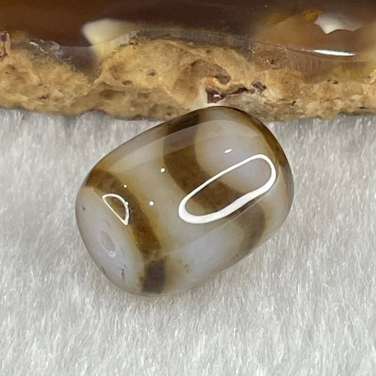 Natural Powerful Tibetan Old Oily Dark and Light Brown Agate Tiger Tooth Daluo Dzi Bead Heavenly Master (Tian Zhu) 2.84g 13.6 by 11.0mm - Huangs Jadeite and Jewelry Pte Ltd