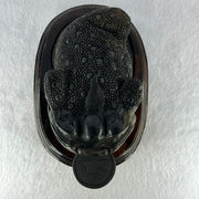 Rare Natural Tibetan Meteorite Tektite 3 Legged Toad with Wooden Stand Display 2,345.1g 170.0 by 118.0 by 125.0mm - Huangs Jadeite and Jewelry Pte Ltd