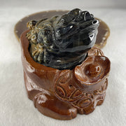 Natural Yellow Tiger's Eye Quartz 3 Legged Toad with Ancient Coin with Wooden Stand Display 412.4g 108.5 by 83.0 by 94.5mm - Huangs Jadeite and Jewelry Pte Ltd