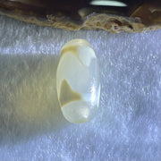 Natural Powerful Tibetan Old Oily Agate Tiger Tooth Daluo Dzi Bead Heavenly Master (Tian Zhu) 虎呀天诛 2.99g 20.1 by 10.1mm - Huangs Jadeite and Jewelry Pte Ltd