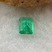 Natural Colombia Vivid Green Emerald (Beryl) Cut-Cornered Square Step cut 0.42ct 5.0 by 4.9 by 2.9mm - Huangs Jadeite and Jewelry Pte Ltd