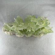 Natural Icy Green Serpentine 6 Cranes with Bamboo Shoots on Shan Shui with White Stone Stand Display 3,171.9g 270.0 by 102.0 by 236.0mm - Huangs Jadeite and Jewelry Pte Ltd