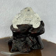 Natural Clear Quartz Dragon Turtle with Wooden Display 214.02g 78.8 by 66.1 by 75.6mm - Huangs Jadeite and Jewelry Pte Ltd