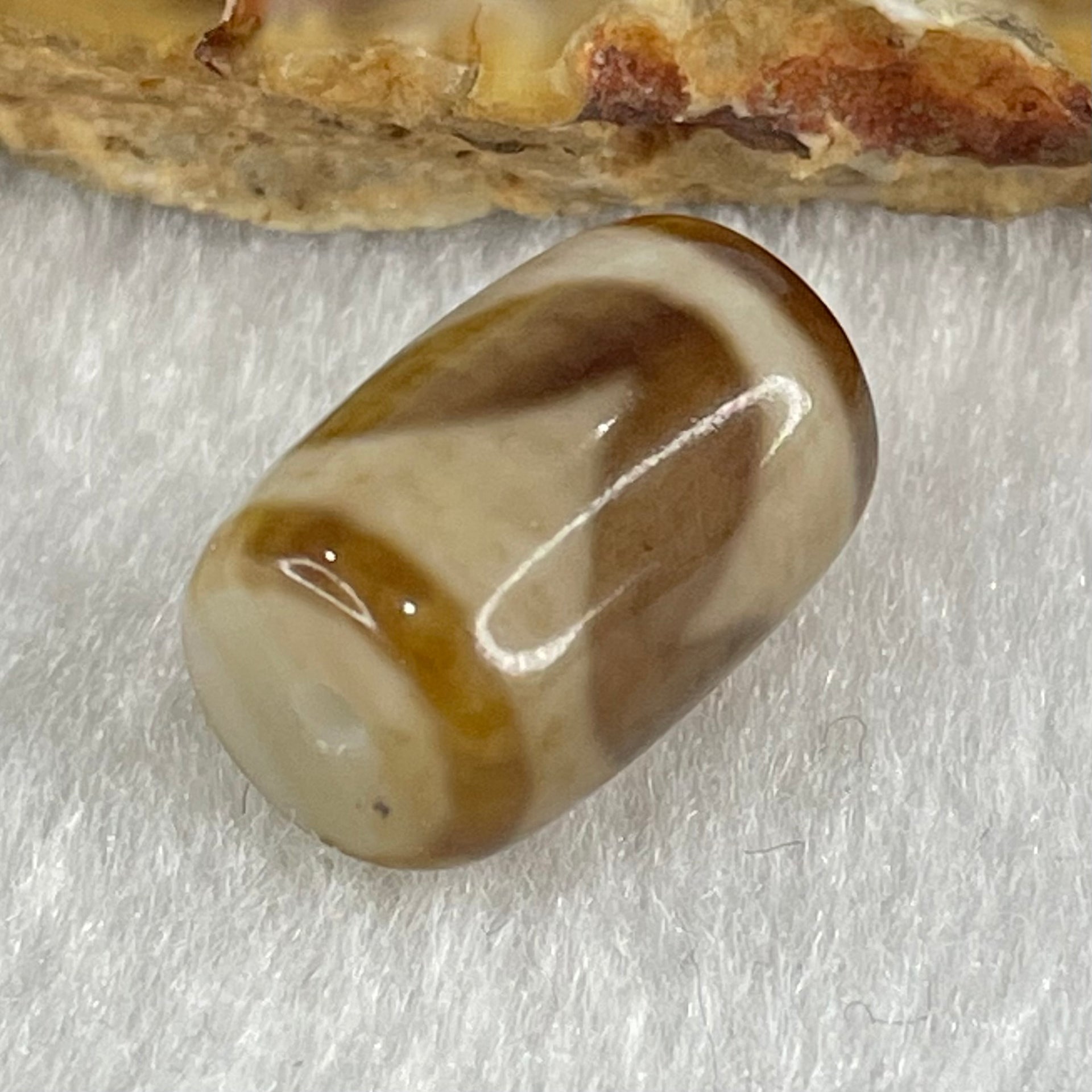 Natural Powerful Tibetan Old Oily Agate Tiger Tooth Daluo Dzi Bead Heavenly Master (Tian Zhu) 虎呀天诛 3.33g 15.9 by 10.7mm - Huangs Jadeite and Jewelry Pte Ltd