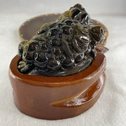 Natural Yellow Tiger's Eye Quartz 3 Legged Toad with Ancient Coin with Wooden Stand Display635.0g 128.1 by 90.7 by 92.5mm - Huangs Jadeite and Jewelry Pte Ltd