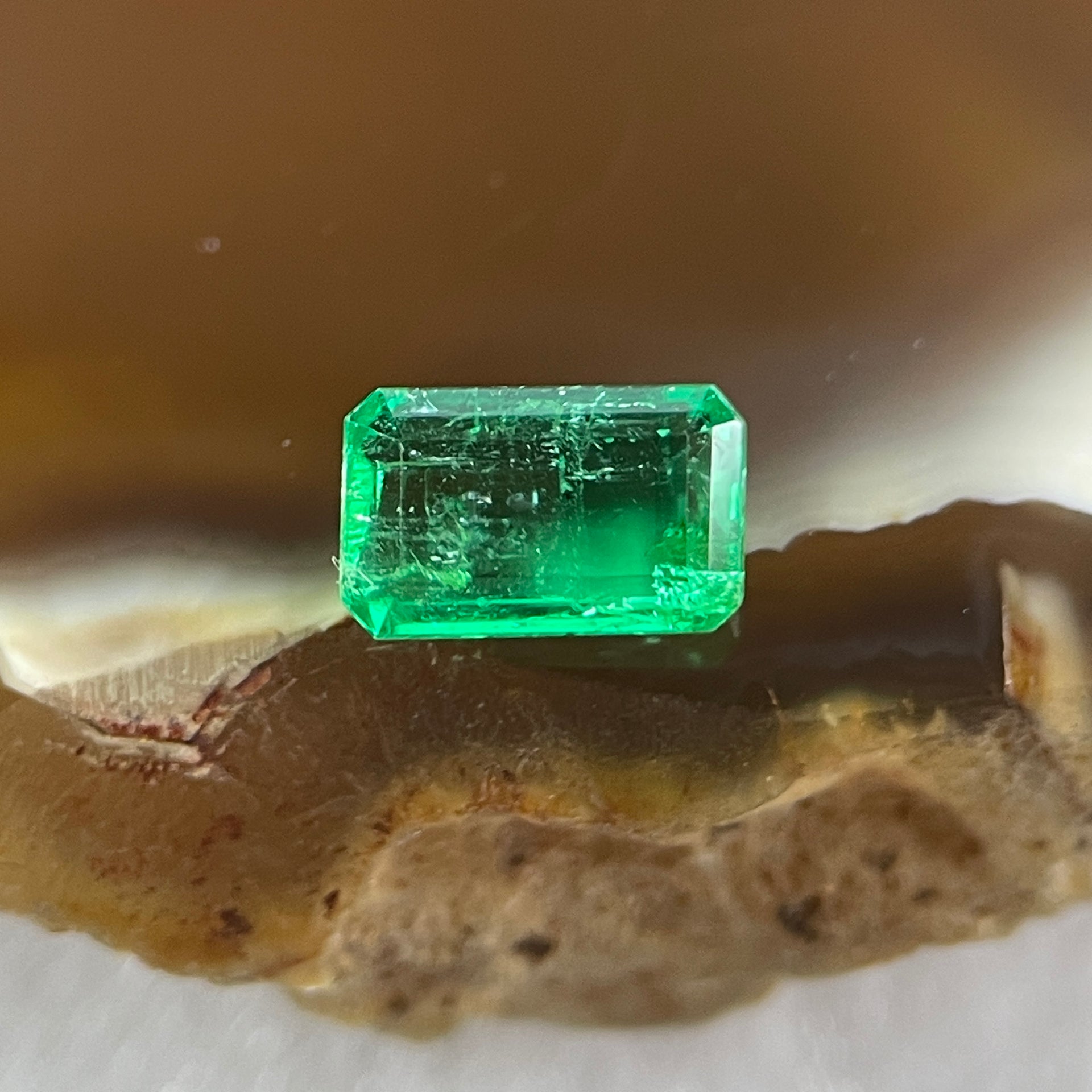 Natural Colombia Vivid Green Emerald (Beryl) Cut-Cornered Rectangular Step cut 0.48ct 5.9 by 3.6 by 2.3mm - Huangs Jadeite and Jewelry Pte Ltd